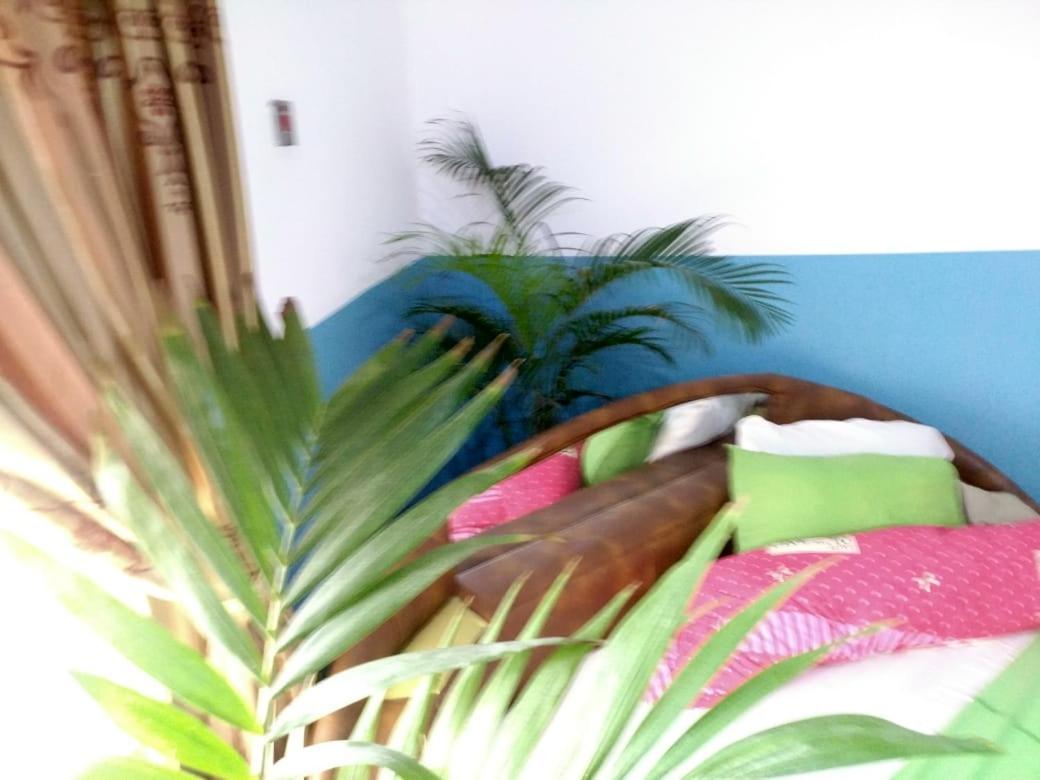 Elizz Guest House Janman Exterior foto